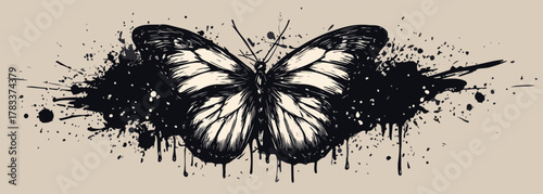 Czarno-biały wektor motyla z rozpryskami farby, symbolizujący transformację i sztukę.