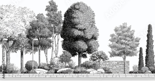 Różnorodne drzewa i roślinność tworzą naturalną, malowniczą kompozycję krajobrazową.