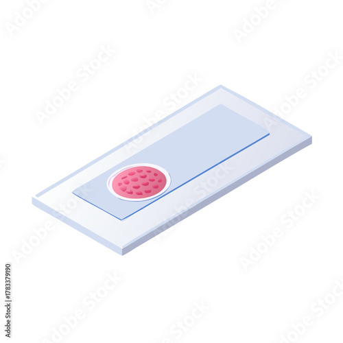 Isometric Microscope Slide with Prepared Tissue Sample Vector Illustration