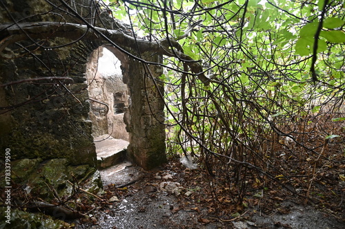 Bonifacio, Bunifazziu