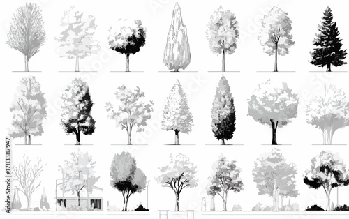 건축 및 조경 디자인에 활용하기 좋은 다양한 형태의 흑백 벡터 나무 일러스트레이션 컬렉션으로, 자연의 아름다움을 섬세하게 표현합니다.