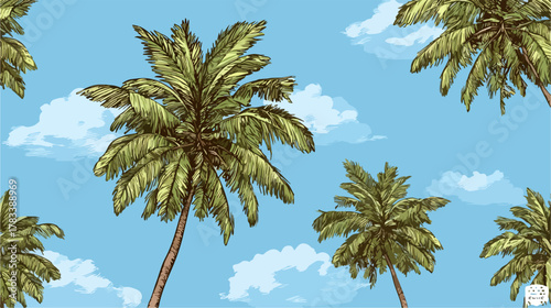 푸른 하늘과 구름 사이로 시원하게 뻗은 야자수 풍경