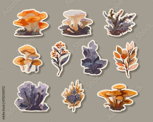 가을 숲의 버섯과 식물 클립아트 일러스트 모음, 자연의 아름다움을 담은 벡터 디자인
