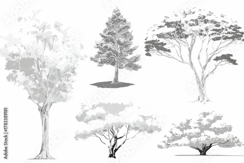 다양한 종류의 나무들이 흰색 배경에 흑백으로 그려진 벡터 일러스트레이션입니다.