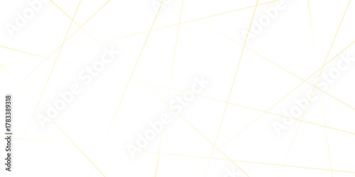 Abstract randomly gradient vector black and white striped line pattern shape art wallpaper. modern seamless fabric striped minimal smooth futuristic diagonal thin vintage background.	