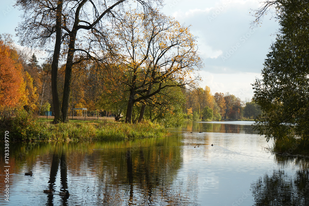 Fototapeta premium Autumn landscape with a pond and bright yellow trees on the river bank.
