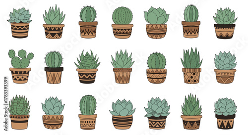 A delightful collection of hand-drawn potted succulents and cacti, showcasing diverse plant types and decorative, earthy-toned pots in a pattern.