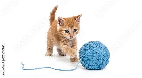 Playful orange kitten reaching for a blue ball of yarn