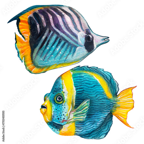 Exotic blue and yellow fish. Underwater world. Watercolor painting depicting fish on a white background.