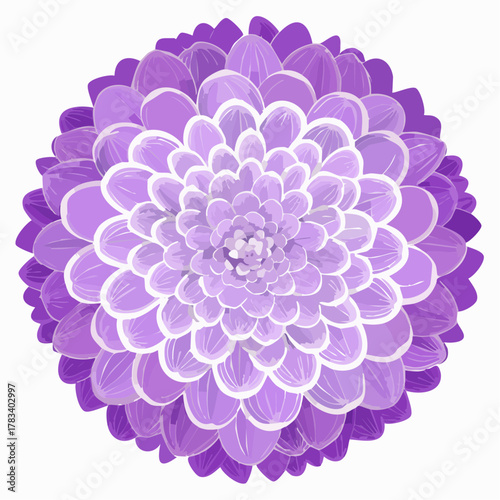 Vibrant purple dahlia flower illustration isolated on white background