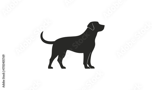 Silhouette of standing dog with tail up black minimalist flat vector design isolated on white background animal pet icon for logo or sign