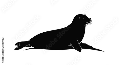 Vector illustration of black silhouette of a seal lying down