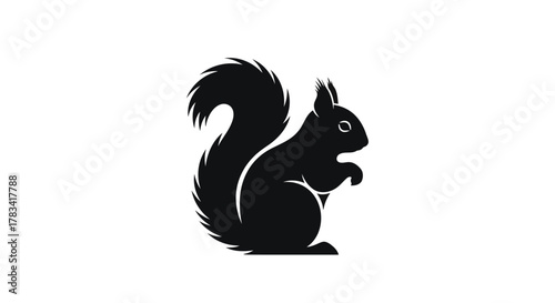 Vector illustration of black squirrel silhouette