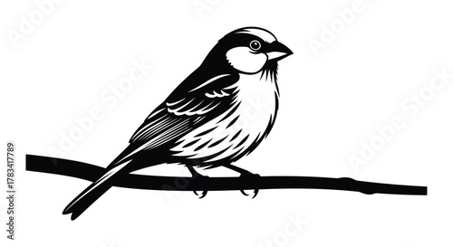 Vector illustration of sparrow perched on a branch