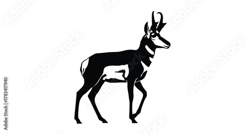Vector illustration of black silhouette of a pronghorn antelope