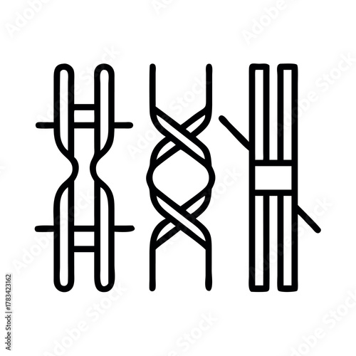Illustrations of dna structure and chromosome organization in a scientific context