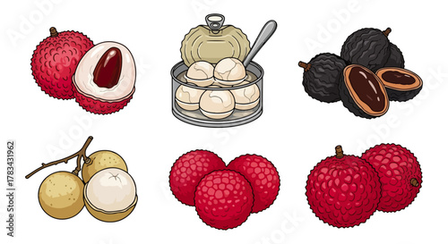 Assortment of fresh and preserved fruits with a variety of textures and colors