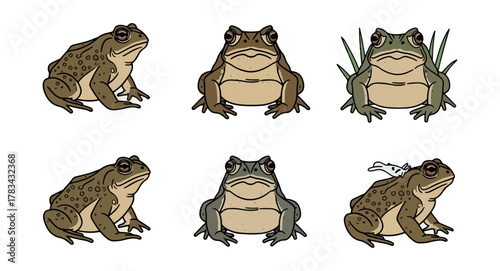 Cartoon frogs various poses isolated black background