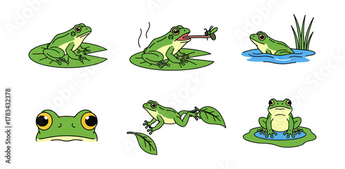 Cartoon frog illustration set green amphibian water lily pad