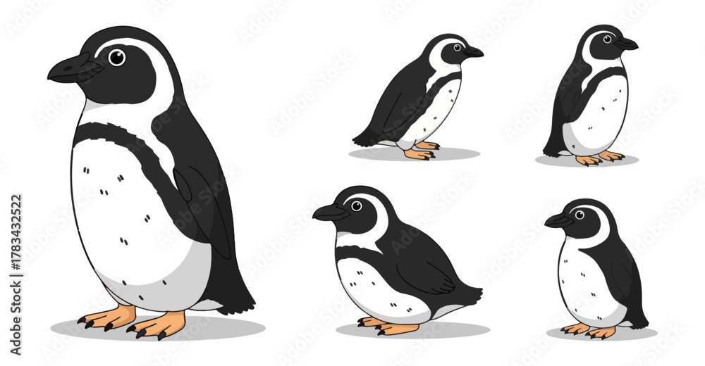 Obraz premium Cartoon penguins in various poses against a simple background