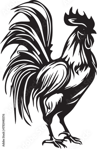 Proud rooster, standing tall and looking ahead