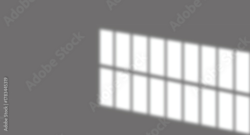 A Natural Window Shadow Overlay -Soft Focus: Blurred Window Shadow Effect