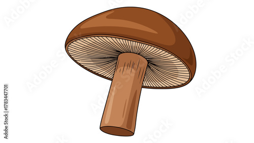 A brown mushroom viewed from below showing gills and stem