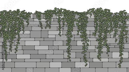 A gray brick wall with green ivy vines hanging over the top