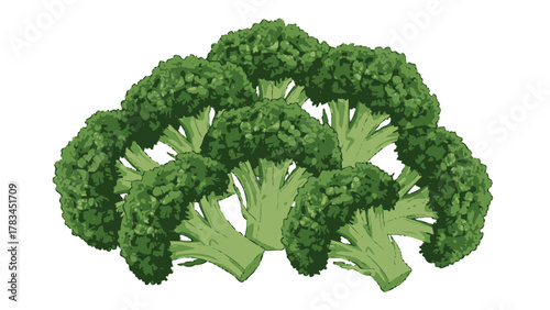 A pile of green broccoli florets on a white background