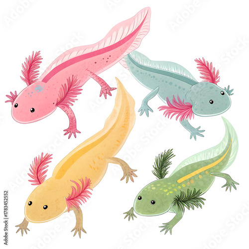 Colorful axolotl aquatic salamanders swimming together on transparent background