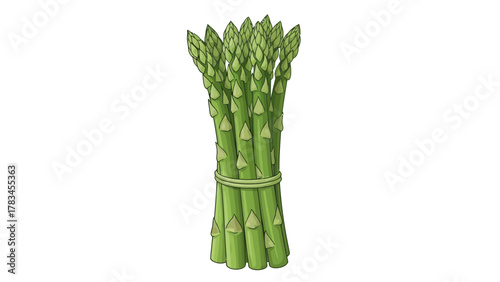 Bunch of green asparagus tied with a green band