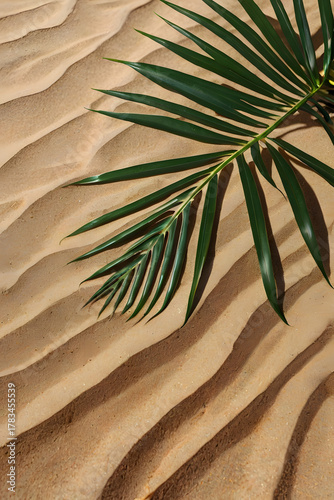 Tropical Palm Leaf Shadow on Beige Sand Background with Natural Light