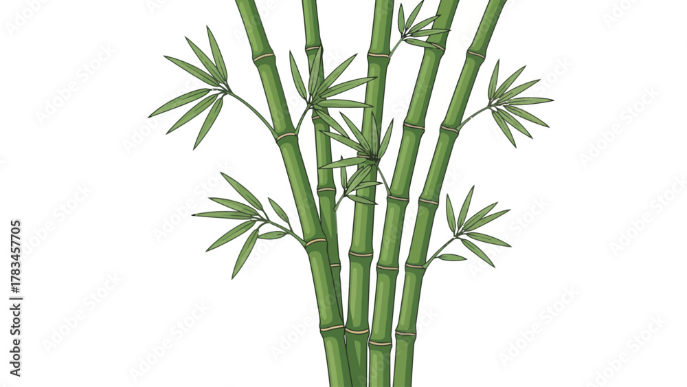Fototapeta premium Illustration of green bamboo stalks with leaves