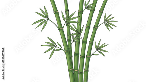 Illustration of green bamboo stalks with leaves
