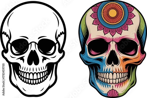 Two skulls one in black outline and the other is colorful with flower design on the forehead area