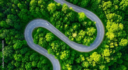 Aerial view of a winding road through a lush green forest