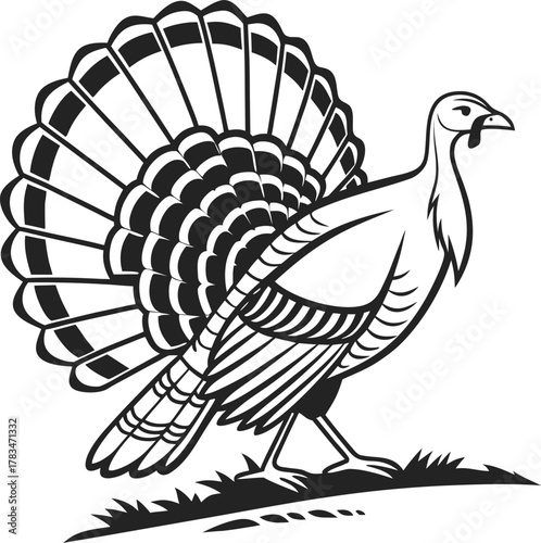 Minimalist pure black backdrop for overlays and graphic elements