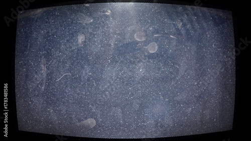 Close-up photo of an old CRT monitor screen showing visible dust, fingerprints, and pixel noise. The curved display and analog texture create a nostalgic, glitchy aesthetic reminiscent of vintage tech