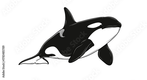 Abstract geometric shapes with flowing lines and curves in rgb color