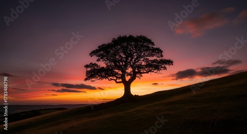 Fototapeta Naklejka Na Ścianę i Meble -  Silhouette of a tree on a hill against a vibrant sunset with colorful clouds in the sky above