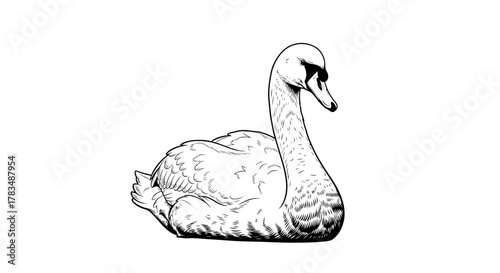 Abstract geometric shapes with flowing lines and curves in rgb color