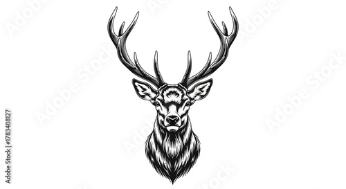 Abstract geometric shapes with flowing lines and curves in vibrant rgb colors