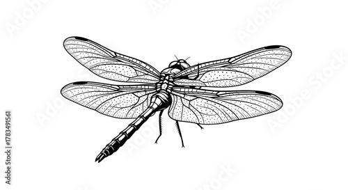 Abstract geometric shapes with flowing lines and curves in rgb color