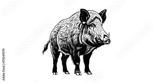 Abstract geometric shapes with flowing lines and curves in rgb