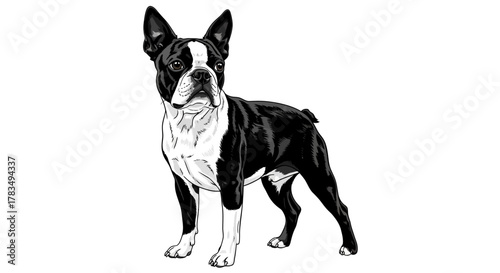 Abstract geometric shapes with smooth curves and gradients