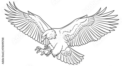 Detailed black and white line drawing of a majestic eagle in flight with wings spread wide
