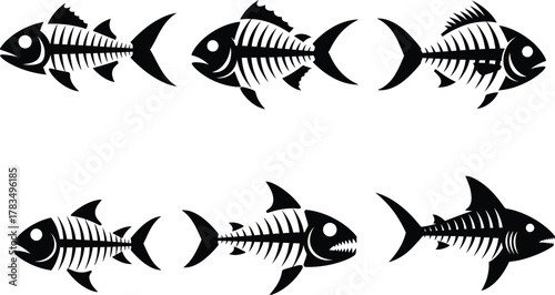 Illustration of set of fish skeletons in black and white style