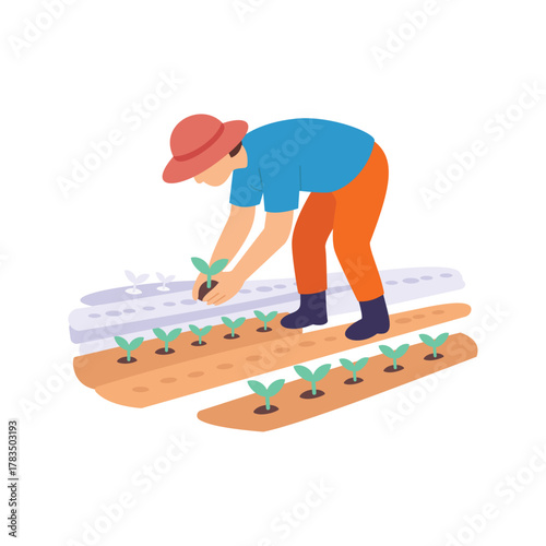 Arranging Plants, organizing garden plants neatly in rows