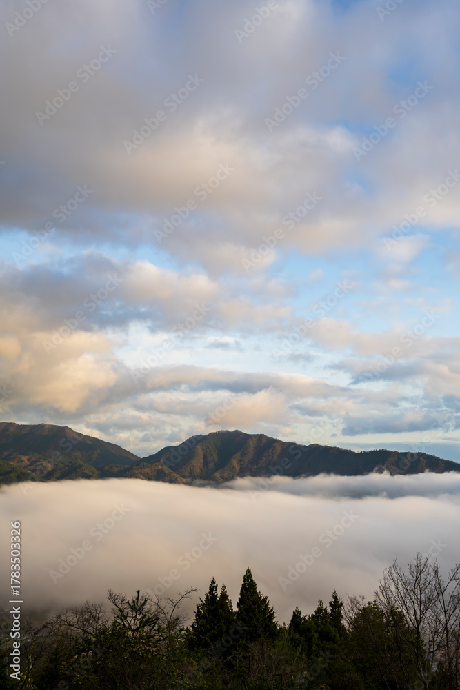 Fototapeta premium 兵庫県朝来市の竹田城と雲海