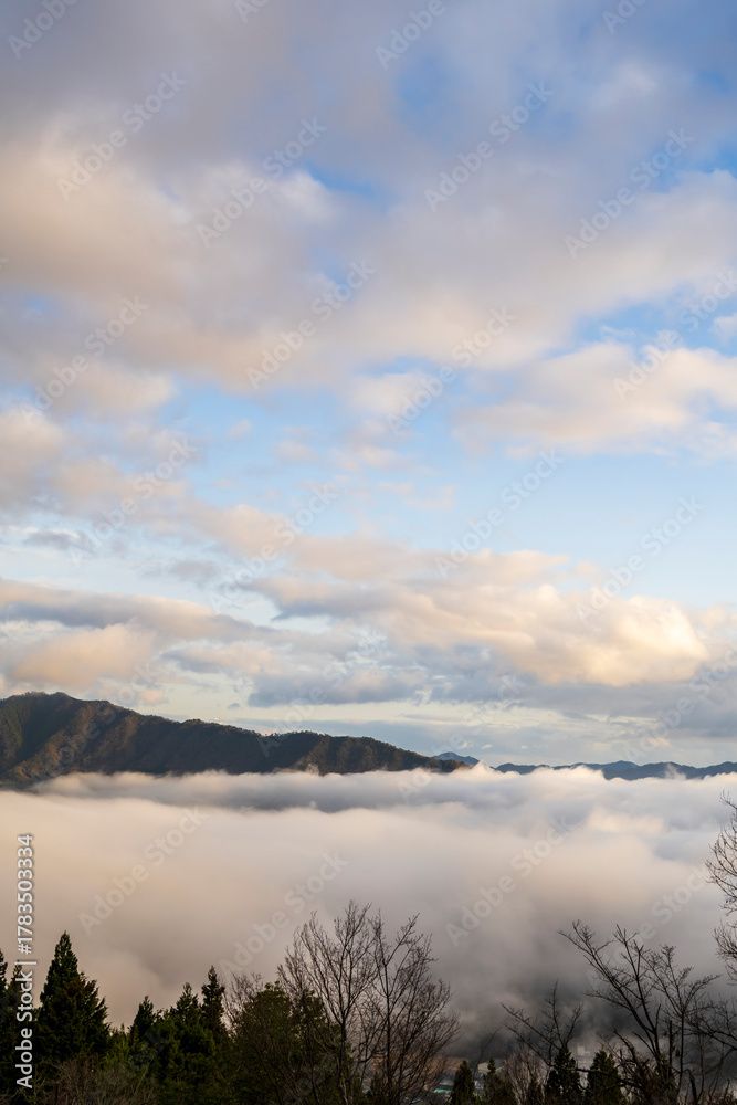 Obraz premium 兵庫県朝来市の竹田城と雲海